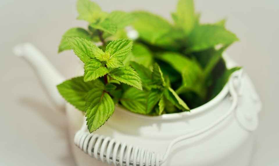 Rimedi naturali reazioni allergiche cutanee